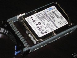 2.el 146 GB  IBM U320 10K 80 pin Scsi ürün resmi